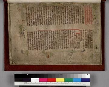 Cartulary of Battle Abbey : [manuscript]