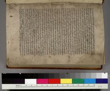 Rosarium : [manuscript]