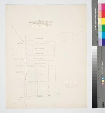 Map of the Celis Vineyard Tract