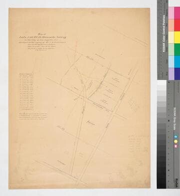Lots 5 & 6 Bl. 59 Hancock's Survey