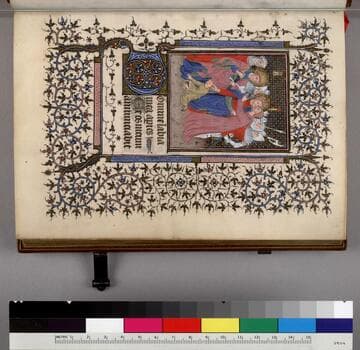 Book of Hours : [manuscript]