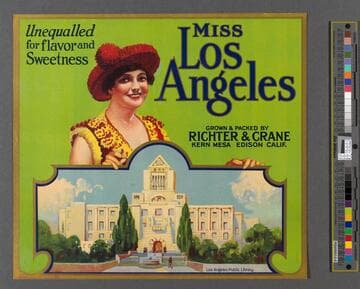 Miss Los Angeles