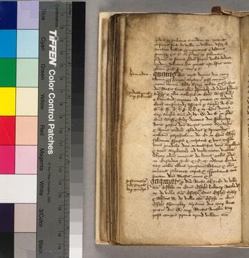 Legal formulary, etc., in Latin, French and English : [manuscript]