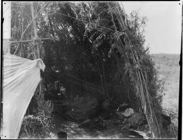 Wickiups, Bannock Reservation