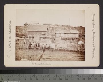 11. Nushagak, lower part