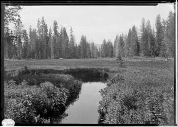 Big Creek Scenery - Shaver Lake Country