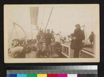 Unidentified ship. Crew on deck with walruses