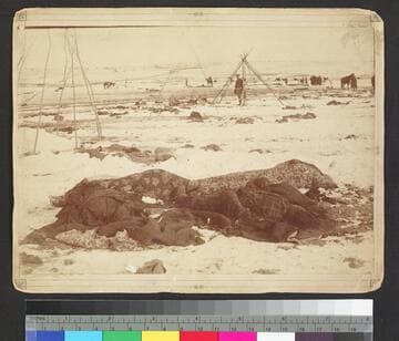 Remains of an Indian camp after a battle -- possibly Wounded Knee