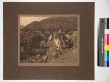 The Scout. Taos Mountains