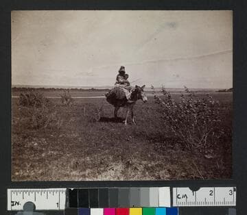 A woman and a child riding on a mule