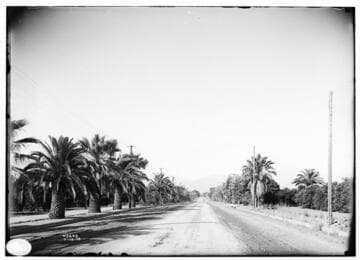 Southern California Views