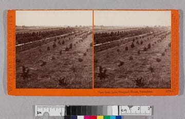 View from Lake Vineyard House, Pasadena