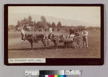 Tournament entry, 1891