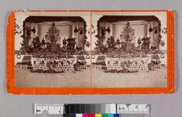 Pasadena's first citrus fruit fair, Mar. 24, 1880