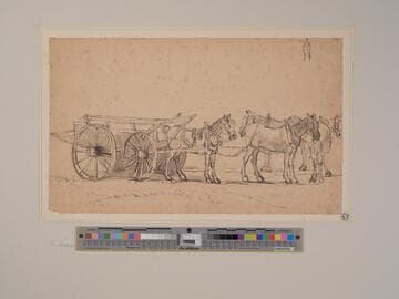 Horses and Wagon