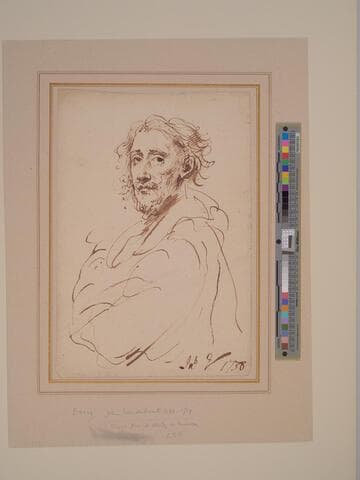 Study of a Bearded Man