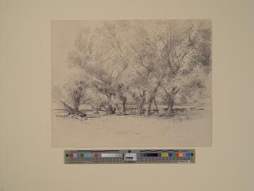 Avon Meadows near Christchurch, Hants