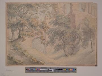 Castle Ruins Seen Through Trees