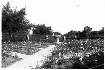 Rose garden, November 25, 1920