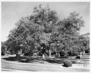 William H. Hertrich outside library building, May 1960