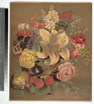 From A. M. Purdy editor of the Fruit Recorder & Cottage Gardener Rochester, N.Y