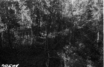 Big Creek, Fish Valley - Fish Creek