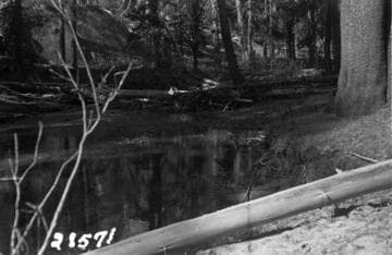 Big Creek, Fish Valley