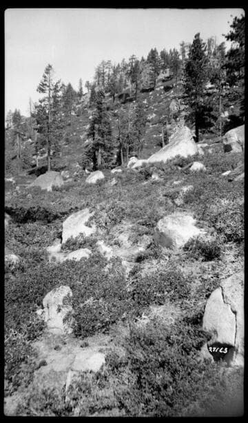 Big Creek, Fish Valley - Fish Creek Project