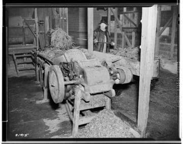 P2 - Poultry - Poultry Book