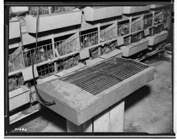 Poultry Book - Busse Ranch