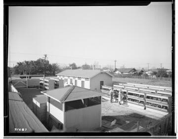 Poultry Book - Busse Ranch