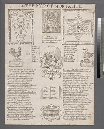 The map of mortalitie