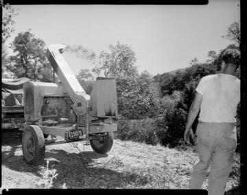 Work crew cutting and mulching vegetation near distribution line