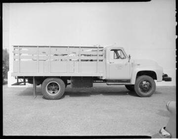 Edison customer service vehicles and cranes