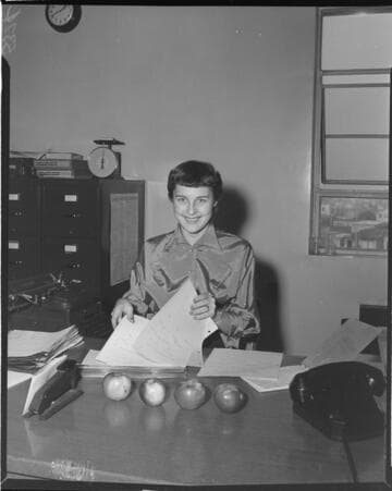 Lady working survey results