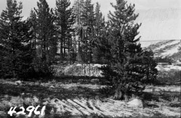 Big Creek, Vermilion Dam