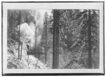 Unidentified glass plate copy neg