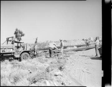 Permanente Line Poles