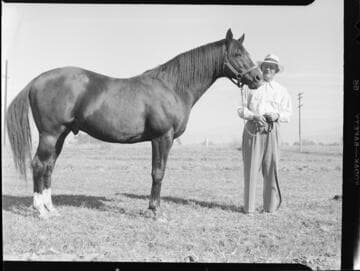Man in coral with horse on bridle