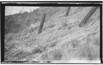 Chino-Capistrano Transmission Line