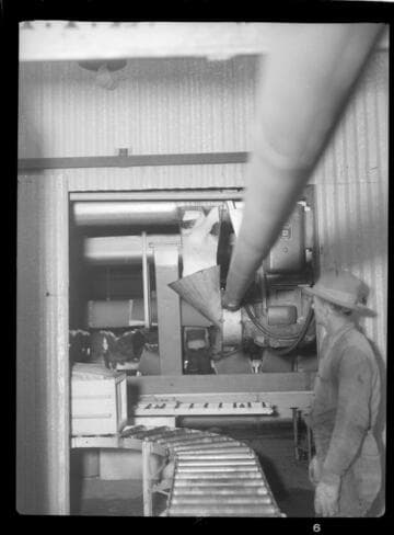 Packing produce with ice