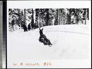Go to image 36.