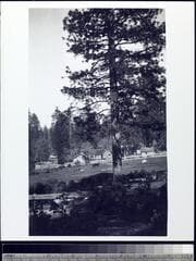 Go to image 18.