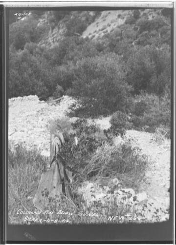 Sierra pipeline [penstock] showing pipe below tunnel in collapsed condition