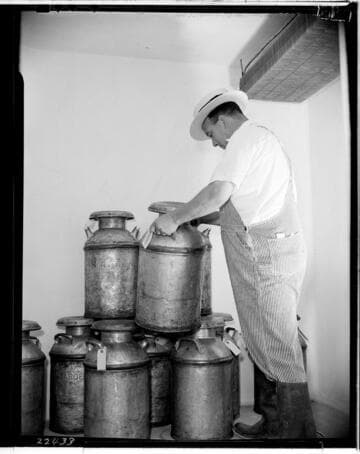 D1 - Dairy - Electrical Times Dairy Series