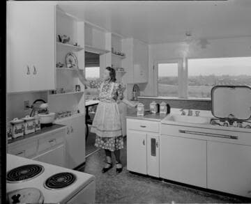 Domestic electric kitchen