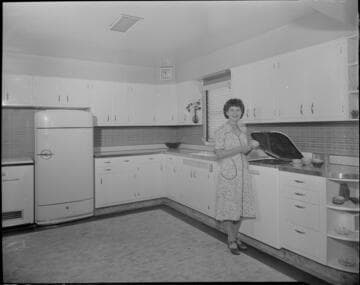 Domestic, electric kitchen