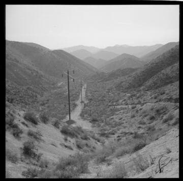 Construction of distribution line