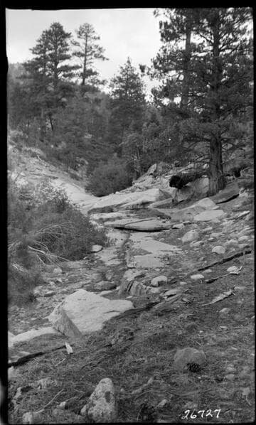 Big Creek general - Hooper Creek