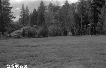 Big Creek General